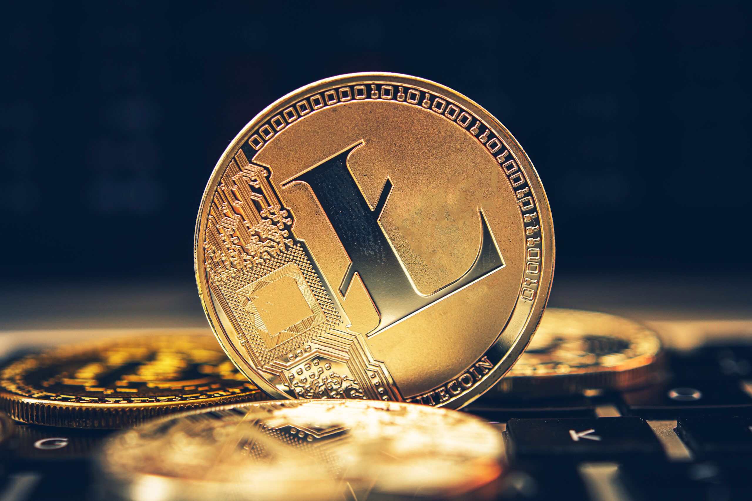 latest-articles