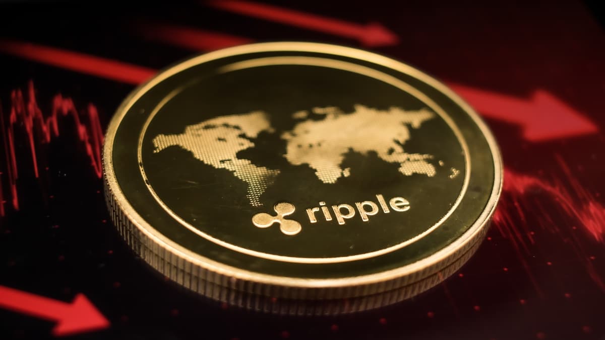 latest-articles