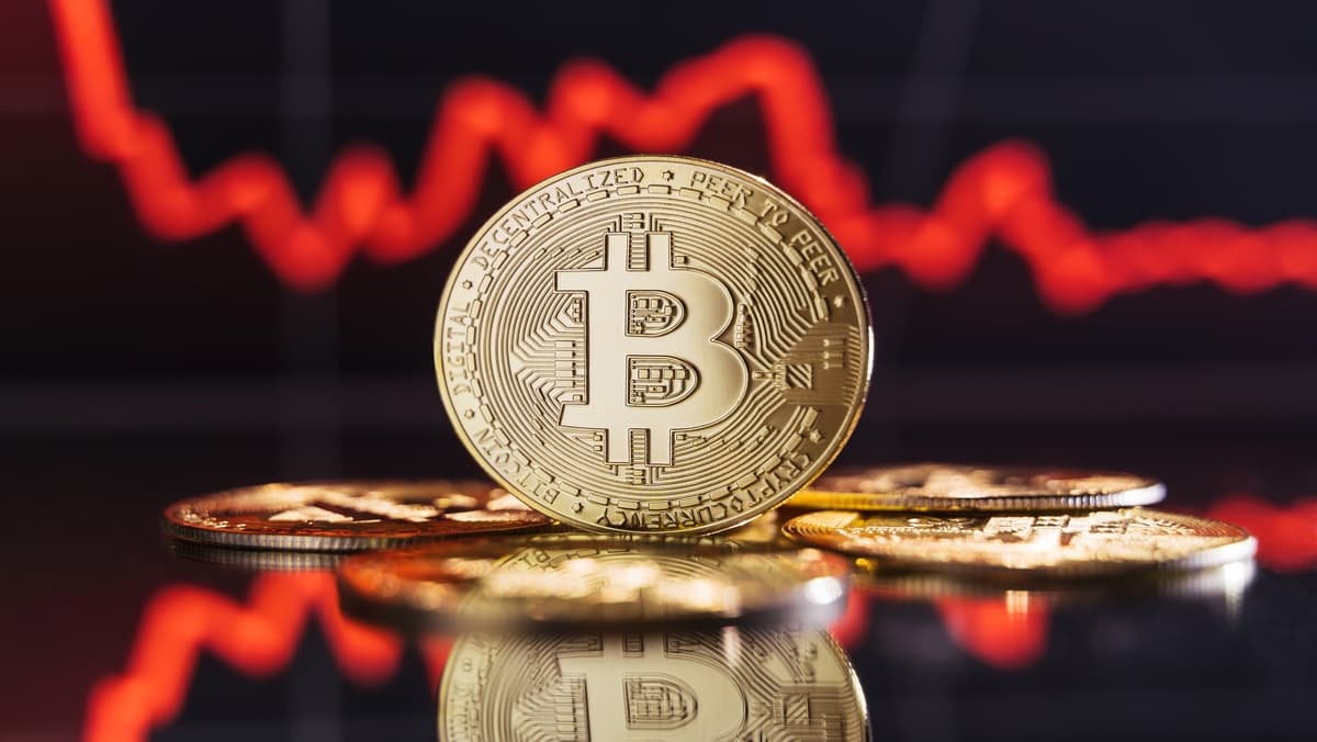 latest-articles